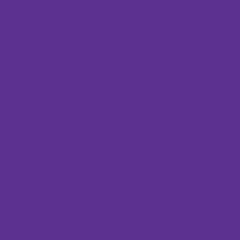 Createx Airbrush Colors 2oz Opaque Purple