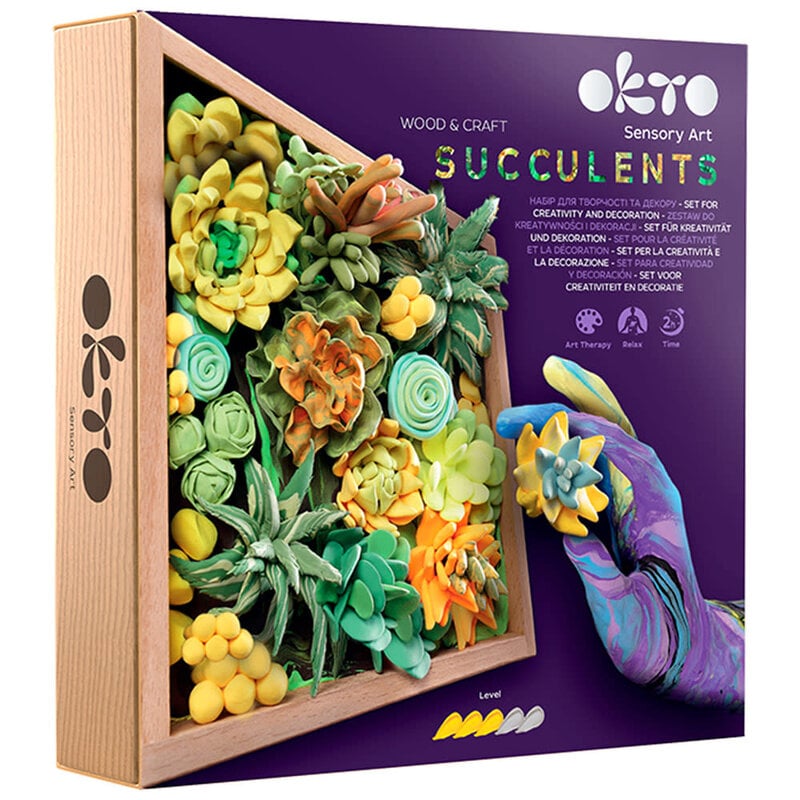 OKTO DIY Succulent Energy Kit