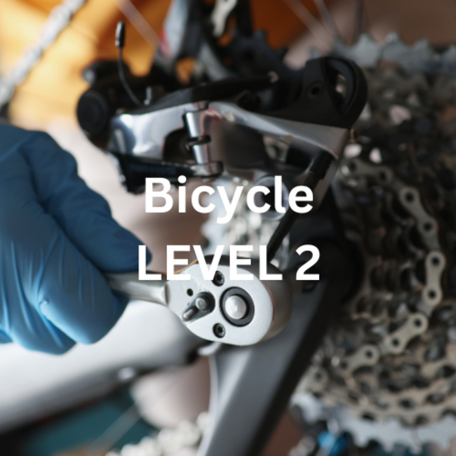 Tune Up: Bicycle Tune Up (Level 2)