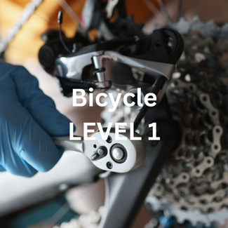 Bicycle Tune Up (Level 1)