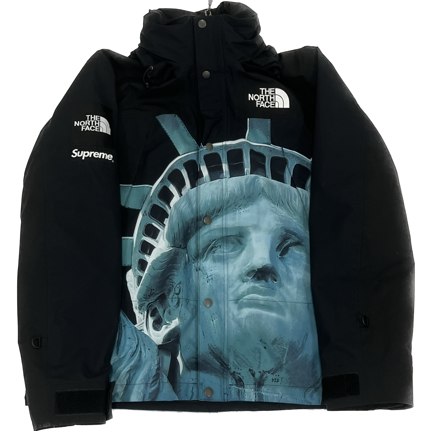 Supreme Supreme The North Face Statue Of Liberty Mountain Jacket Black Size  Large