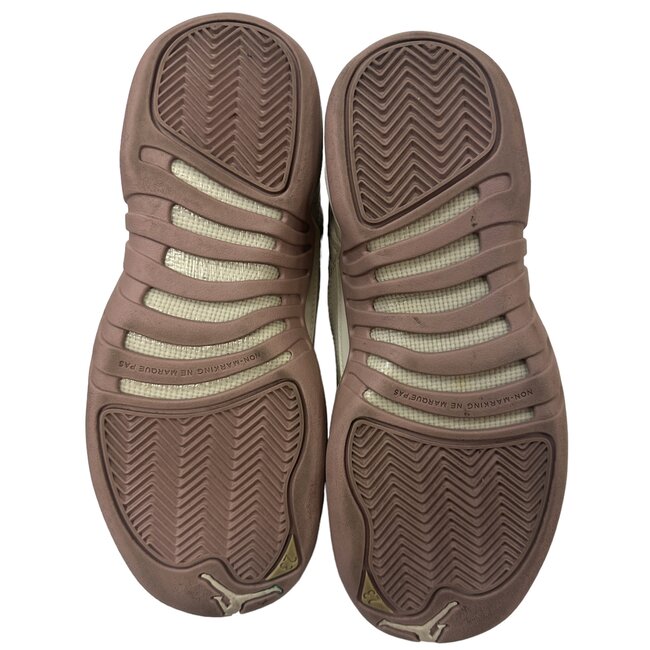 Jordan Brand Air Jordan 12 Heiress Plum Dog