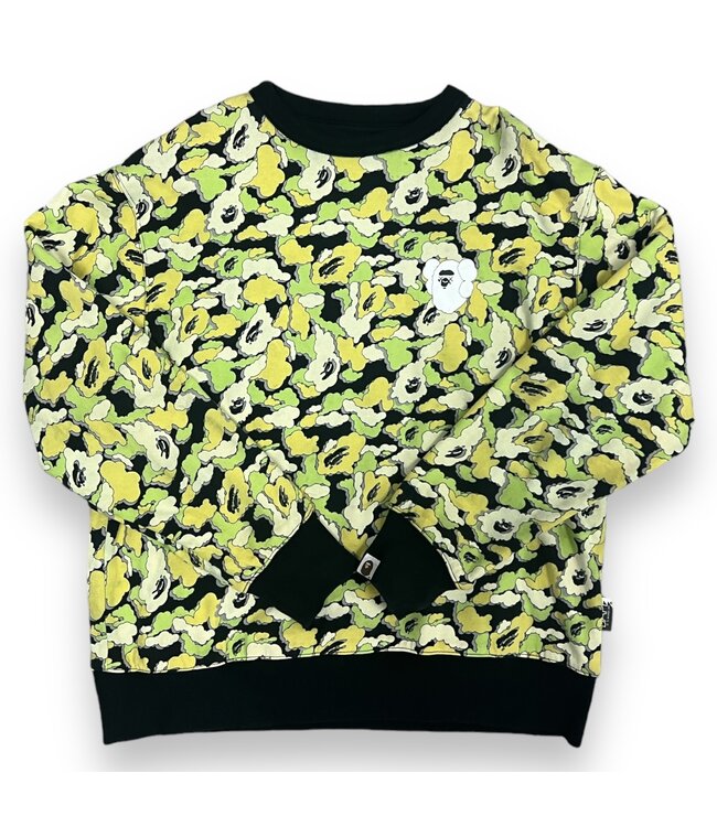 BAPE × kaws reversible long sleeve sweat shirt cloud camo A