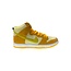 Nike Nike SB Dunk High Pineapple