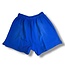 Hellstar Hellstar Blue/White Flame Shorts