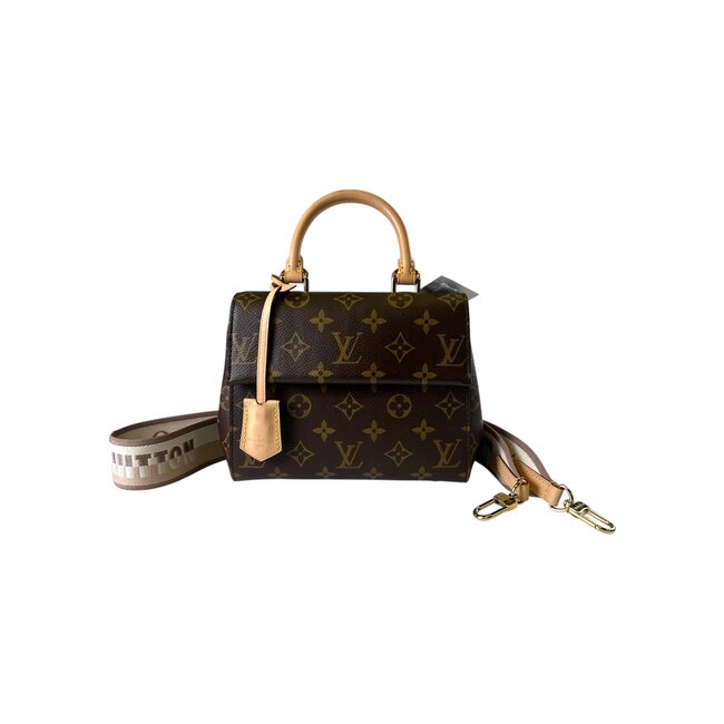Louis Vuitton Louis Vuitton Cluny Mini Bag