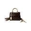 Louis Vuitton Louis Vuitton Cluny Mini Bag