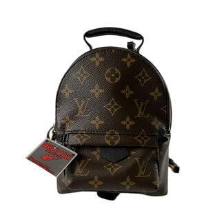 Louis Vuitton Louis Vuitton Palm Spring Mini Backpack