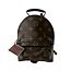 Louis Vuitton Louis Vuitton Palm Spring Mini Backpack