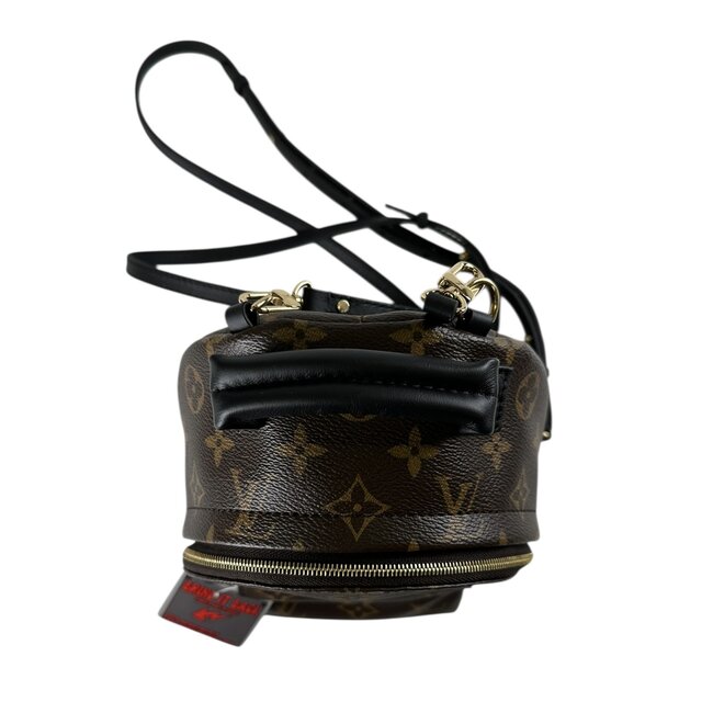 Louis Vuitton Louis Vuitton Palm Spring Mini Backpack