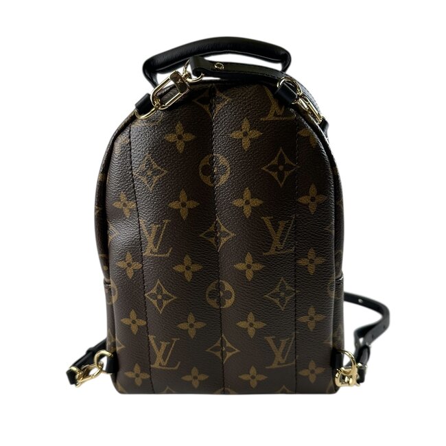 Louis Vuitton Louis Vuitton Palm Spring Mini Backpack