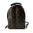 Louis Vuitton Louis Vuitton Palm Spring Mini Backpack