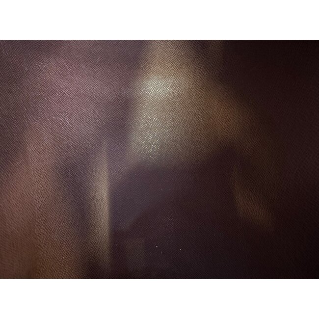 Louis Vuitton Louis Vuitton Papillon 26