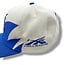 Hellstar Hellstar Blue Shark Tooth Snapback