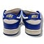 Supreme Nike SB Dunk Low Supreme Blue Stars Size 9.5