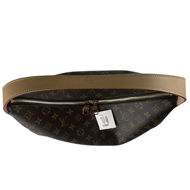 Louis Vuitton Louis Vuitton Slouchy MM Bag