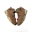 Jordan Brand Air Jordan 6 Travis Scott British Khakis Size 10