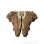 Jordan Brand Air Jordan 6 Travis Scott British Khakis Size 10