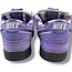 Nike Nike SB Dunk Low Concepts Purple Lobster Size 8.5