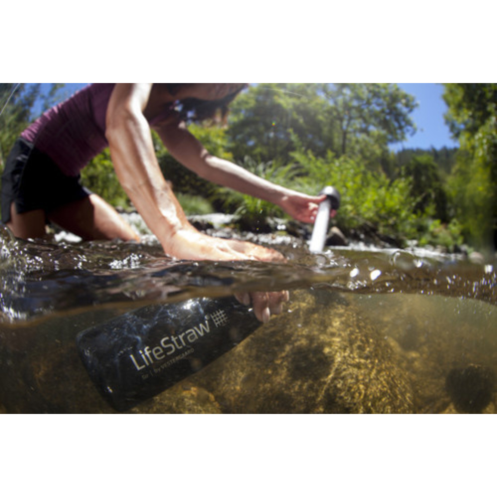 LIFESTRAW LIFESTRAW BOUTEILLE D'EAU AVEC FILTRE 22OZ