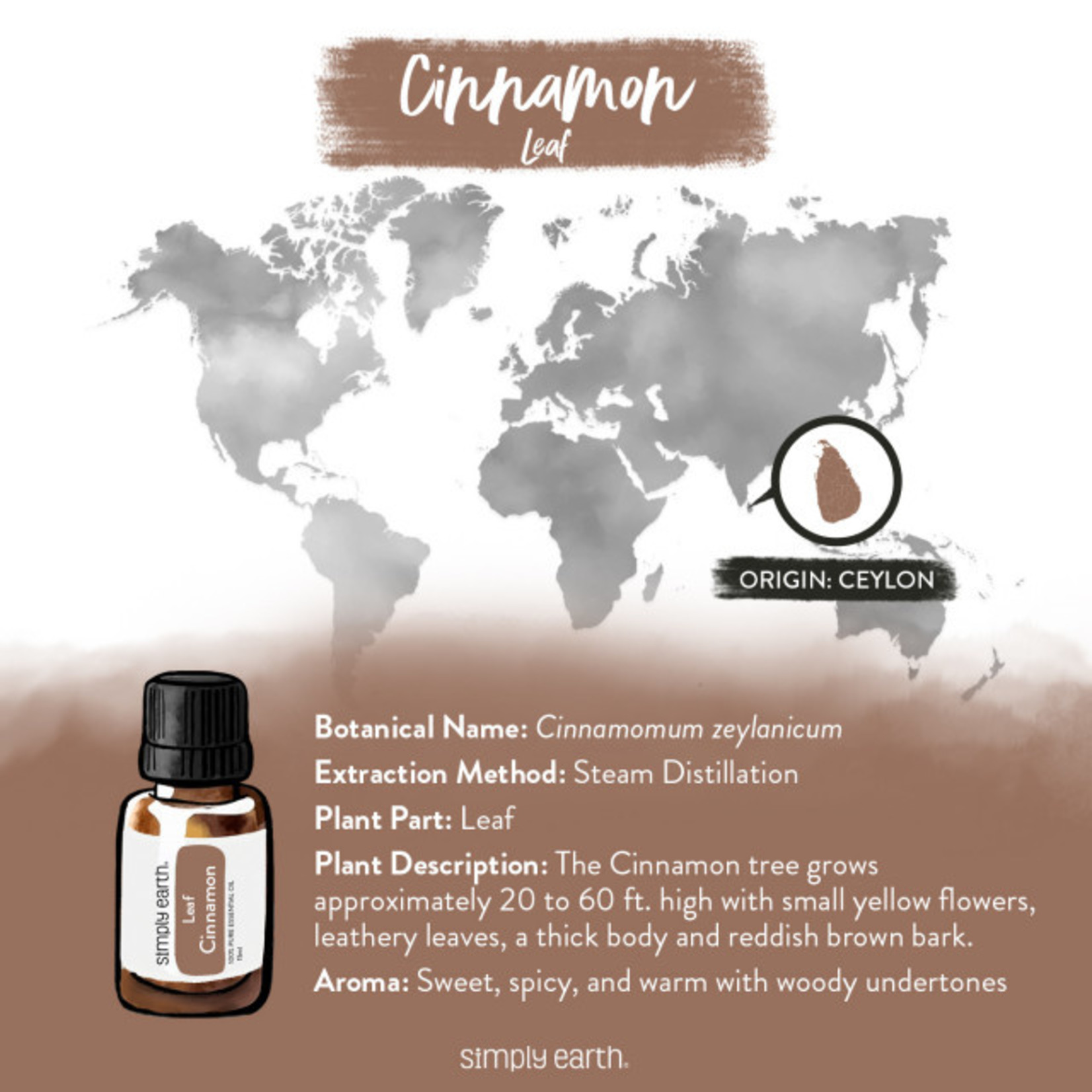 Simply Earth© Essential Oil - Cinnamon Leaf