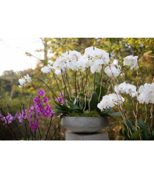 Newport Bowl 22"x 8" Grey