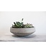 Newport Bowl 22"x 8" Grey