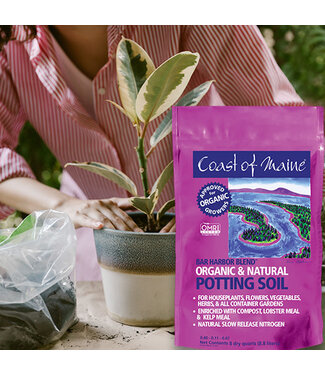 Coast of Maine CME Bar Harbor Blend Organic Potting Soil (16 qt)