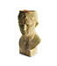 WEATHERED GARDEN MALE BUST PLANTER head