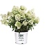 Hydrangea 'White Wedding 3G TM