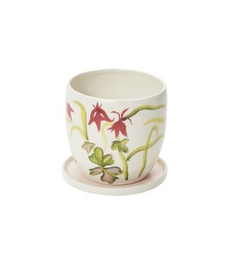 Wild Meadow Pot 5.5"x5.25"