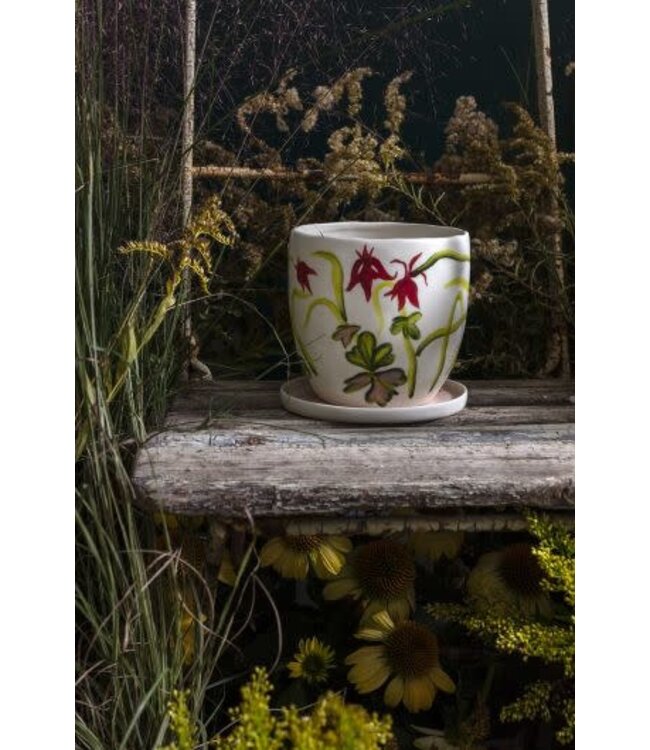Wild Meadow Pot 5.5"x5.25"