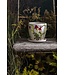 Wild Meadow Pot 5.5"x5.25"