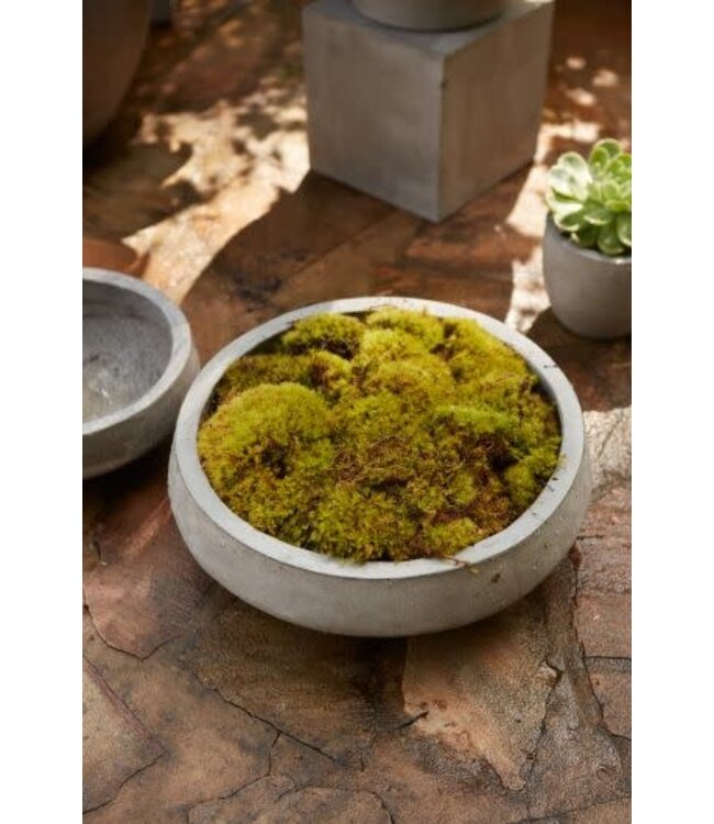 Newport Bowl 17.5"x 6" Grey