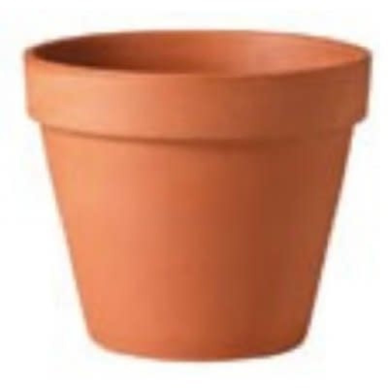 Deroma Deroma Standard Pot 8.3" Terracotta