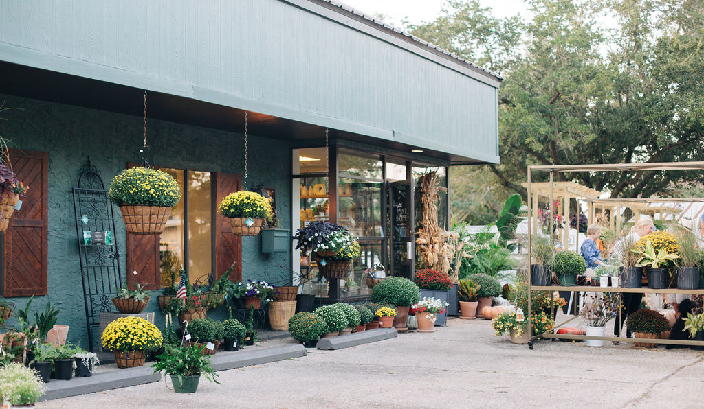 Hanging Baskets