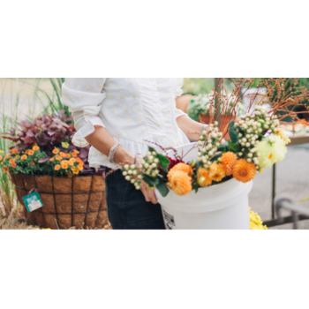 Stems & Flowers