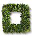 Wreaths  16" SF boxwood Preserved Square