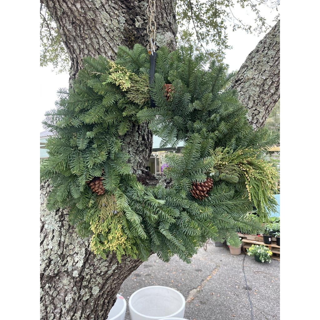 The Plant Shoppe Wreath 24"mixed with cones Var.  Wreath