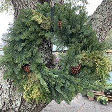 The Plant Shoppe Wreath 24"mixed with cones Var.  Wreath