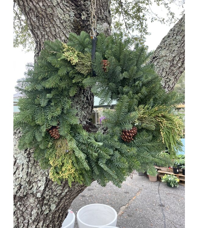The Plant Shoppe Wreath -  24"Mixed W/Cones