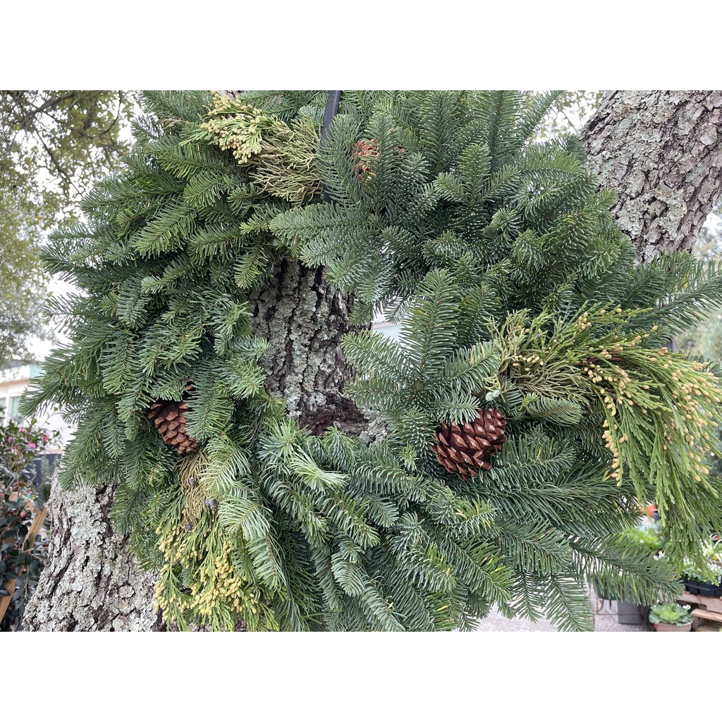 The Plant Shoppe Wreath 24"mixed with cones Var.  Wreath