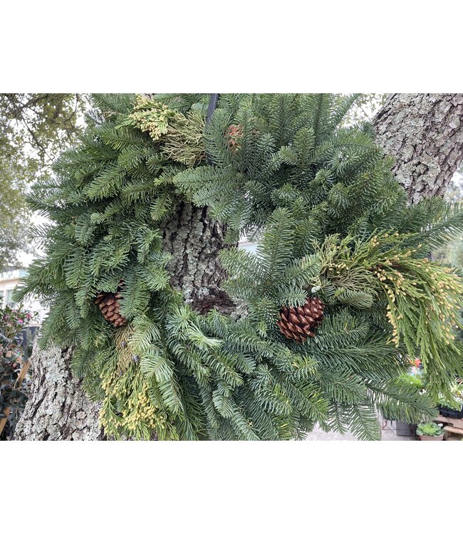 The Plant Shoppe Wreath -  24"Mixed W/Cones