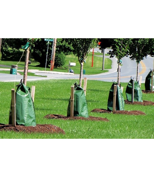 20 Gal TreeGator Bag