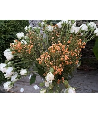 The Plant Shoppe FCS Lisianthus stem