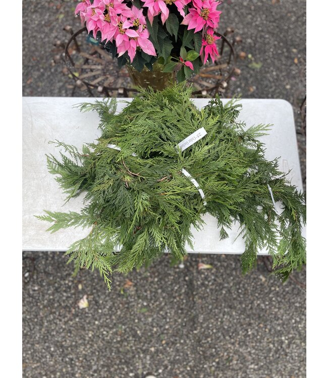 Fresh Cedar Garland (5 ft.)
