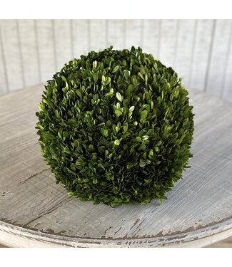 Preserved Boxwood 16" Ball