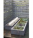 Newport Planter 31.5"x 9.75"x 4"