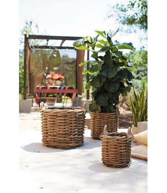 The Plant Shoppe Cabana Basket 27"x25.5"
