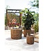 The Plant Shoppe Cabana Basket 27"x25.5"
